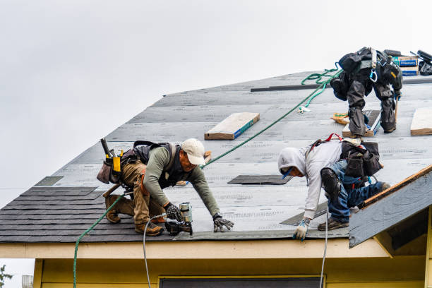 Professional Gutter Installation technician working in Divide, MT